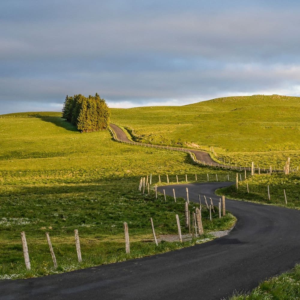 Aubrac