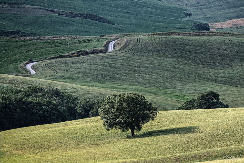 Val d'Orcia - la route