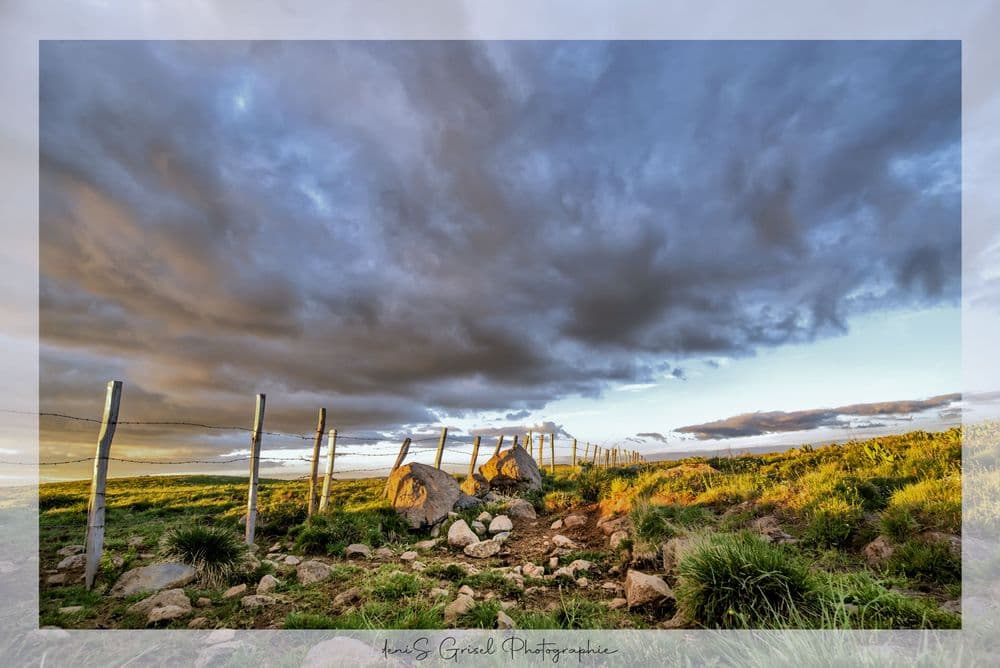 Aubrac - Nasbinals - 2