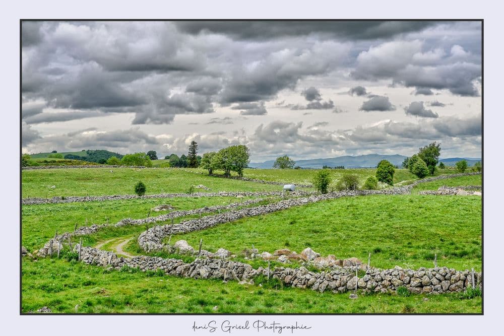 Aubrac - Nasbinals  - 1